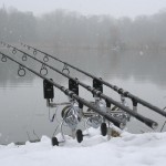 Rods in snow